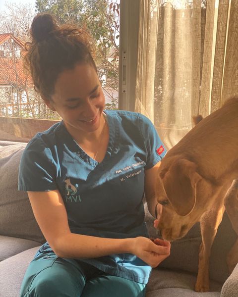 Luna, sentada en un sillón junto a la ventana, le da un premio a un perro café